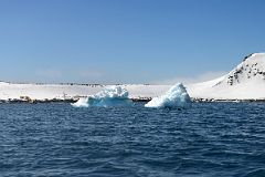 08C Penguin Colonies On Aitcho Barrientos Island In South Shetland Islands From Zodiac Of Quark Expeditions Antarctica Cruise Ship